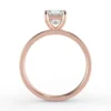 "An"- Lab Diamond Engagement Ring